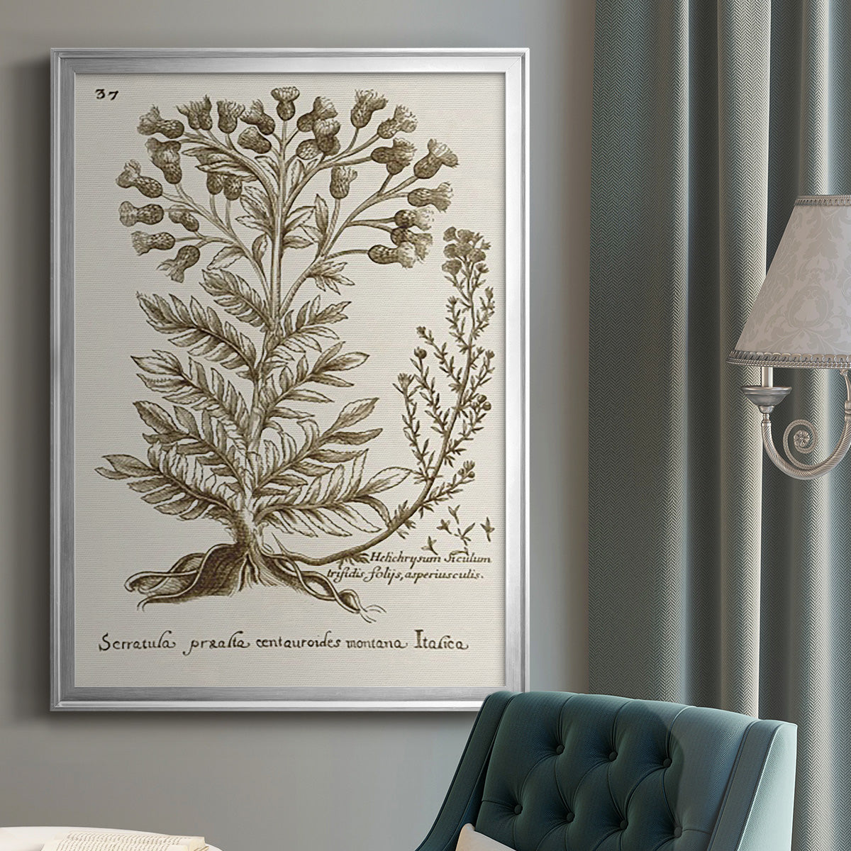 Sepia Botanical Journal I - Modern Framed Canvas Print