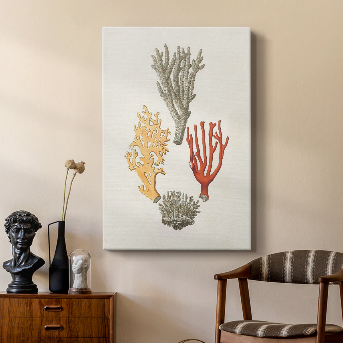 Knorr Shells & Coral IV - Canvas Art Print