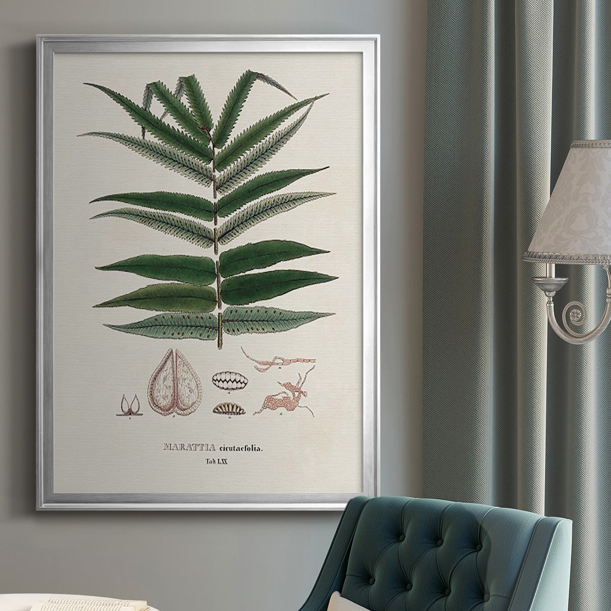 Botanical Society Ferns XII - Modern Framed Canvas Print