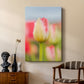 Twotone Tulip - Canvas Art Print