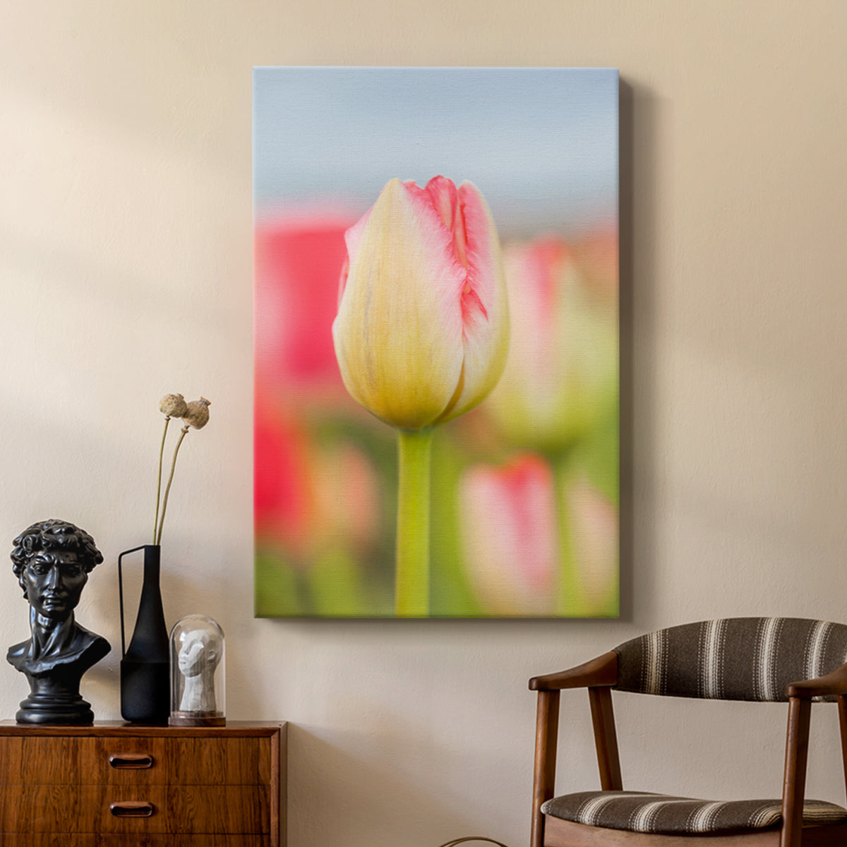 Twotone Tulip - Canvas Art Print