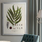 Botanical Society Ferns II - Modern Framed Canvas Print