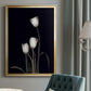 Tulip Pose III - Modern Framed Canvas Print