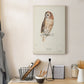 Tawny Owl Premium Gallery Wrapped Canvas - Ready to Hang