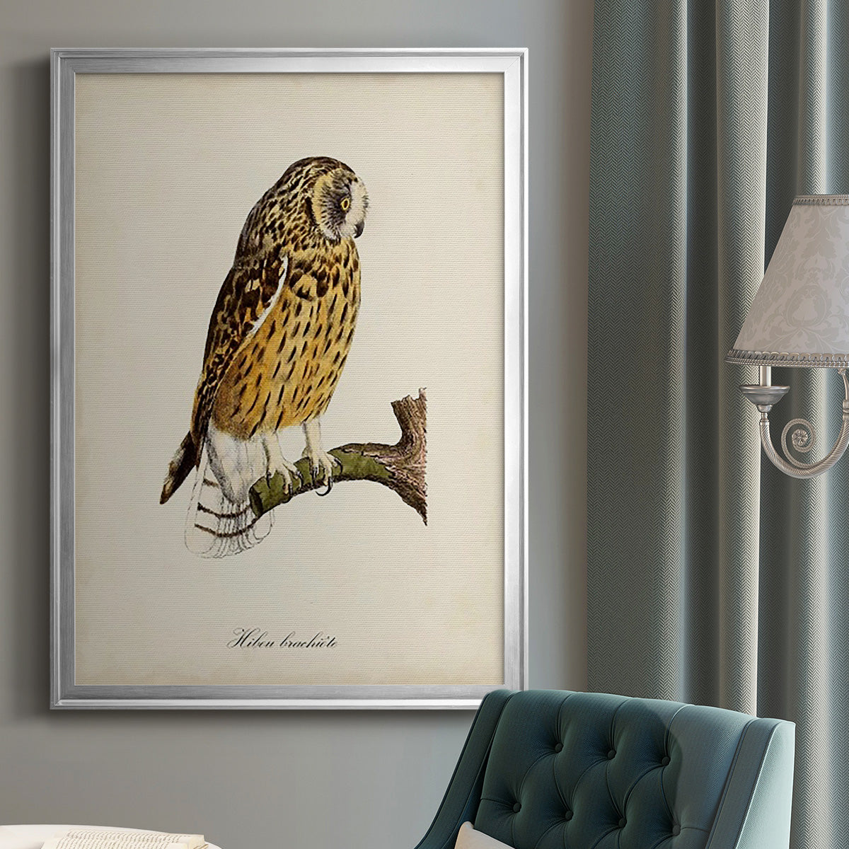 French Owls II - Modern Framed Canvas Print