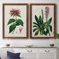 Set of two maple barnwood framed canvas prints depicting a coordinated art pair of colorful flowering plant specimens rendered as antique botanical plate illustrations above a dining room sideboard.