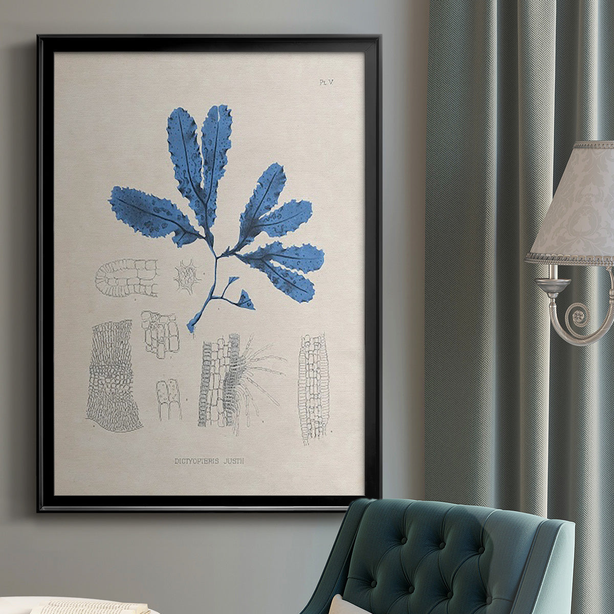 Blue Marine Algae VII - Modern Framed Canvas Print