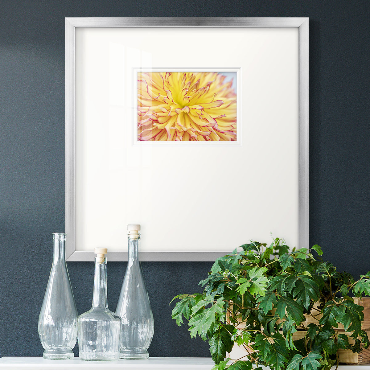 Blooms III- Premium Framed Print Double Matboard