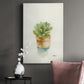 Succulent II - Canvas Art Print