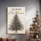 Pearled Blessing of Fir - Canvas Art Print