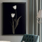 Tulip Pose II - Modern Framed Canvas Print