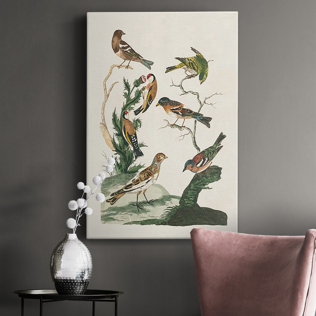 Antique Birds in Nature I Premium Gallery Wrapped Canvas - Ready to Hang