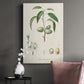 Antique Almond Botanical I Premium Gallery Wrapped Canvas - Ready to Hang