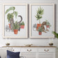 Purrfect Plants I - Premium Framed Canvas 2 Piece Set - Ready to Hang