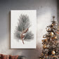Evergreen of Silver Whisper - Canvas Art Print