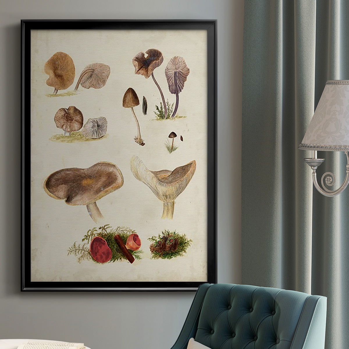 Mushroom Species III - Modern Framed Canvas Print