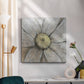 Close-Up Daisy II - Canvas Art Print