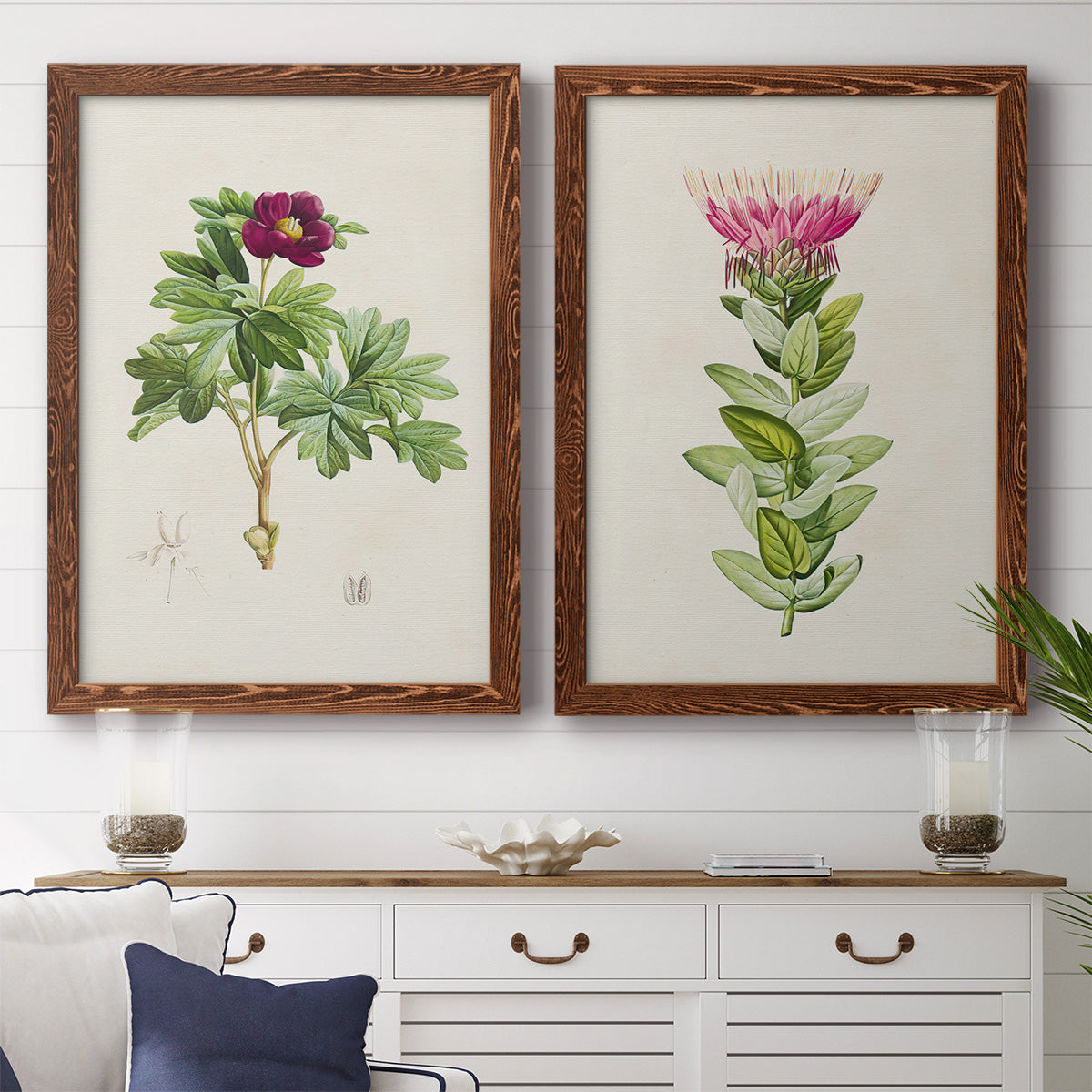 Set of two maple barnwood framed canvas prints depicting a coordinated art pair of pink flowering plant specimens rendered as vintage botanical plate illustrations above a dining room sideboard.