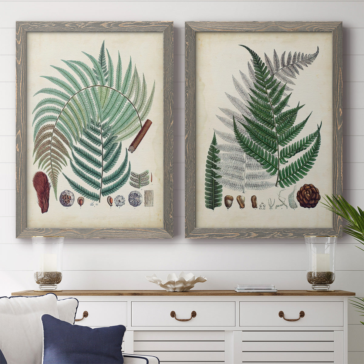 Set of two gray barnwood framed canvas prints depicting a coordinated art pair of vintage fern specimens with botanical details rendered as natural-history fern plates above a dining room sideboard.