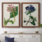 Set of two maple barnwood framed canvas prints depicting a coordinated art pair of colorful flowering plant specimens rendered as antique botanical plate illustrations above a dining room sideboard.
