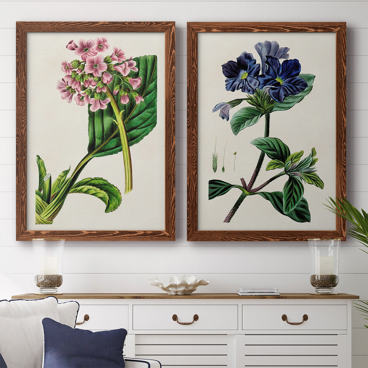 Set of two maple barnwood framed canvas prints depicting a coordinated art pair of colorful flowering plant specimens rendered as antique botanical plate illustrations above a dining room sideboard.