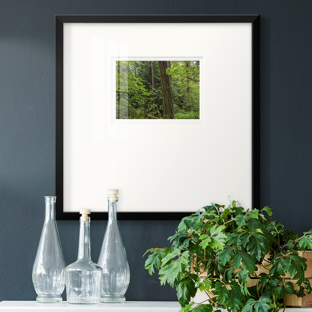 Calm of the Forest Premium Framed Print Double Matboard