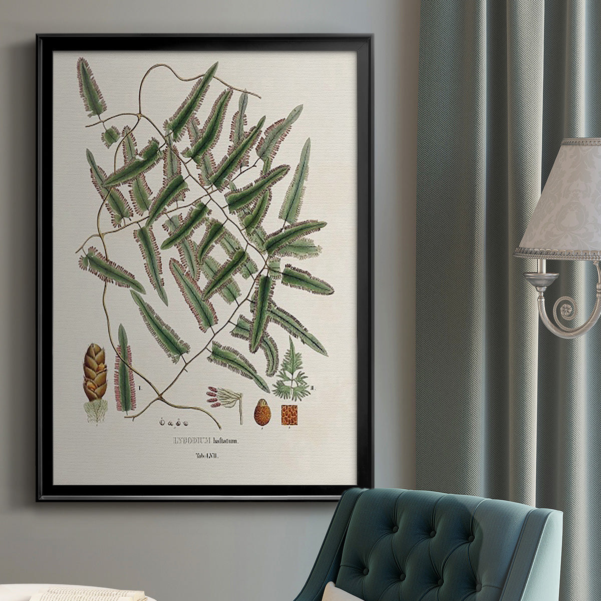 Botanical Society Ferns X - Modern Framed Canvas Print