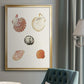 Pastel Knorr Shells VIII - Modern Framed Canvas Print