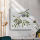 Olive Branch I - Canvas Art Print