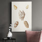 Pastel Knorr Shells VI - Canvas Art Print