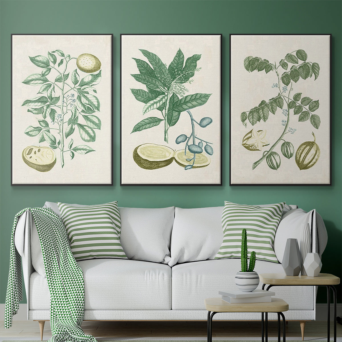 Buchoz Tropicals II - Floater Framed Canvas Set