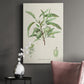 Antique Almond Botanical III Premium Gallery Wrapped Canvas - Ready to Hang