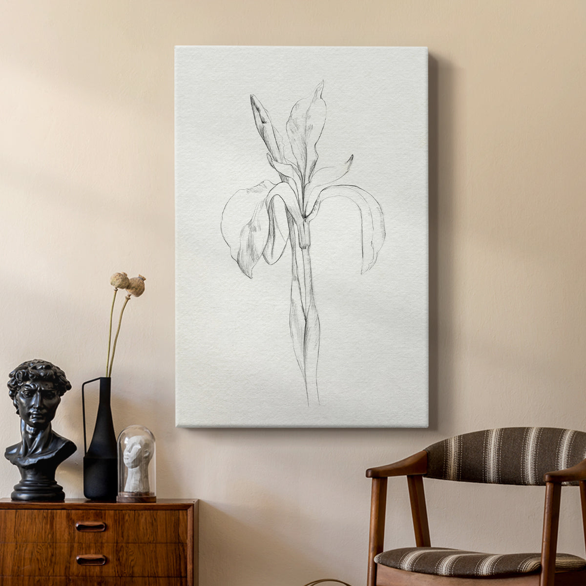 Neutral Iris Sketch II - Canvas Art Print