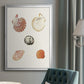 Pastel Knorr Shells VIII - Modern Framed Canvas Print