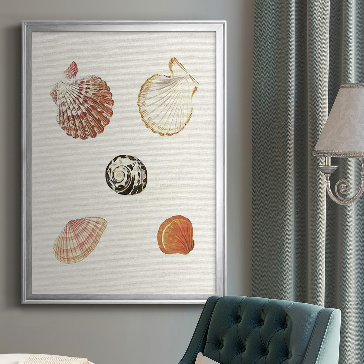 Pastel Knorr Shells VIII - Modern Framed Canvas Print