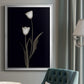 Tulip Pose II - Modern Framed Canvas Print