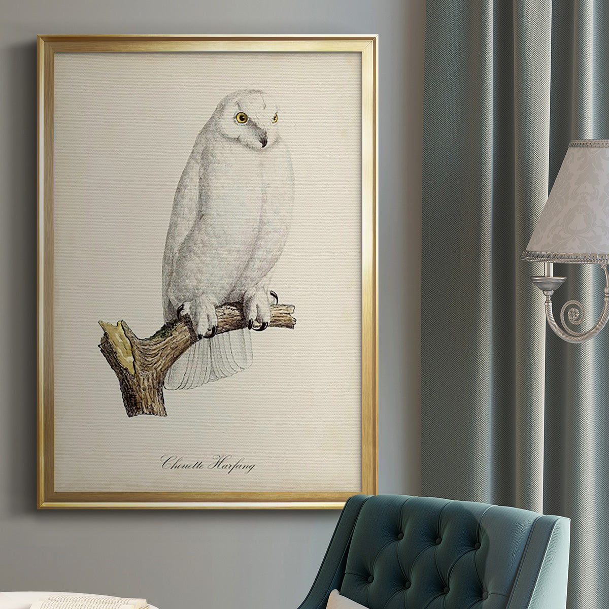 French Owls IV - Modern Framed Canvas Print