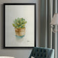 Succulent II - Modern Framed Canvas Print