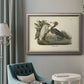 Bloch Antique Fish I Premium Framed Canvas- Ready to Hang