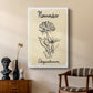 Birth Month XI - Canvas Art Print