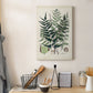 Collected Ferns VII Premium Gallery Wrapped Canvas - Ready to Hang