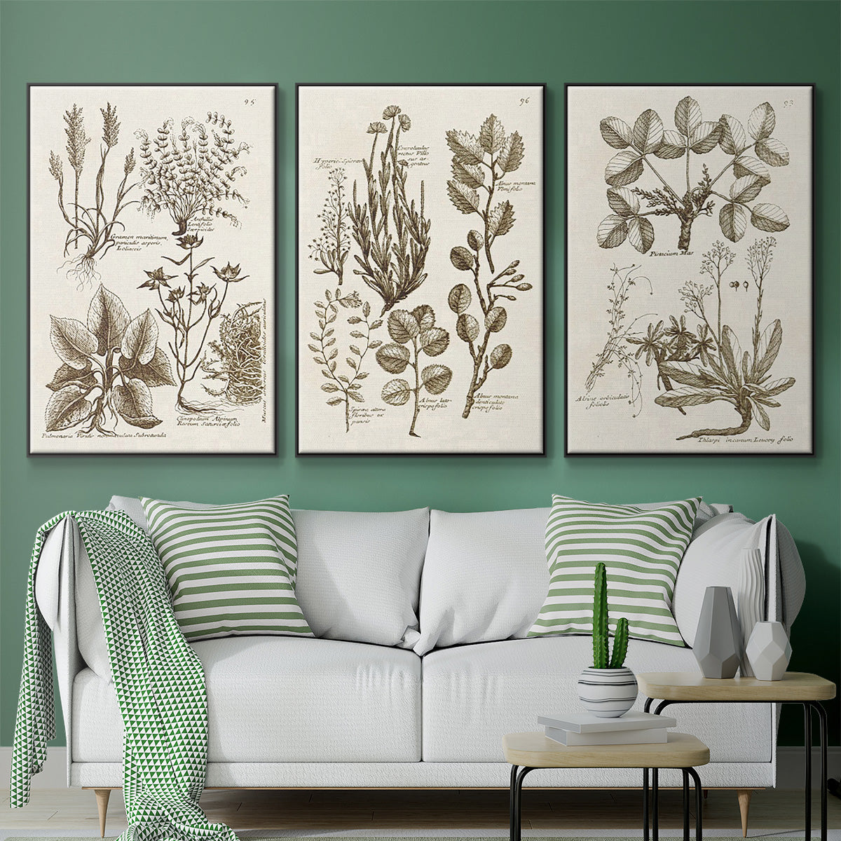 Sepia Botanical Journal VI - Framed Premium Gallery Wrapped Canvas L Frame 3 Piece Set - Ready to Hang