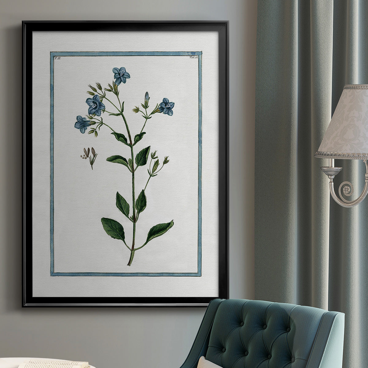 Shabby Chic Botanical II - Modern Framed Canvas Print