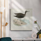 Morris Sandpipers VII - Canvas Art Print