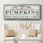 Pumpkin Patch I - Floater Framed Canvas Print