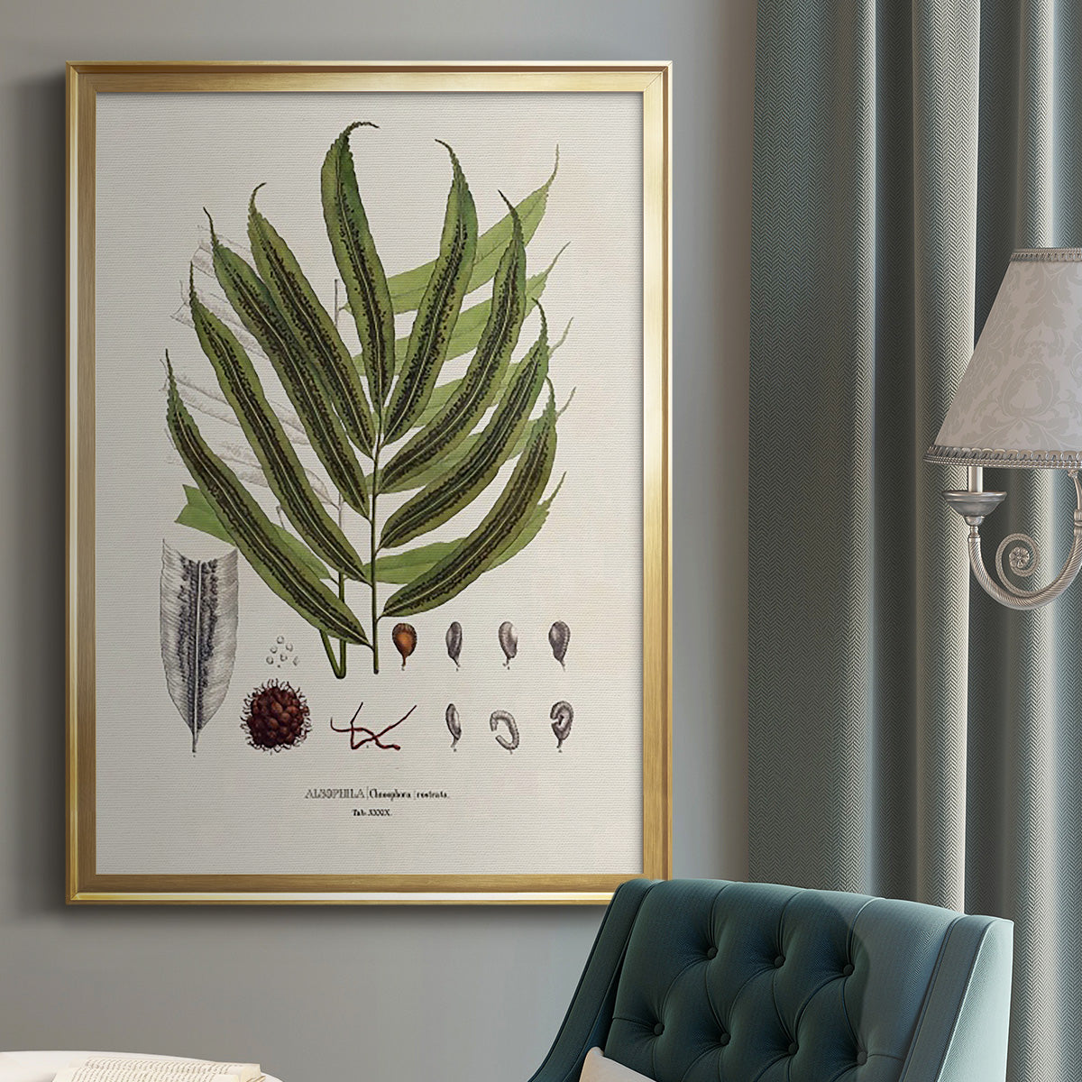 Botanical Society Ferns II - Modern Framed Canvas Print