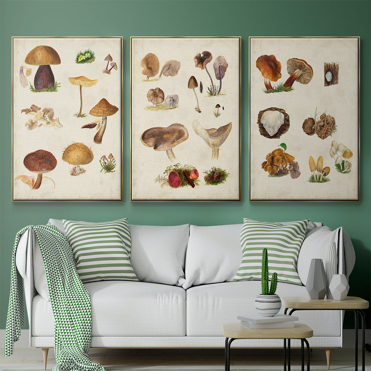 Mushroom Species I - Floater Framed Canvas Set