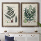 Set of two walnut barnwood framed canvas prints depicting a coordinated art pair of vintage fern specimens with botanical details rendered as natural-history fern plates above a dining room sideboard.