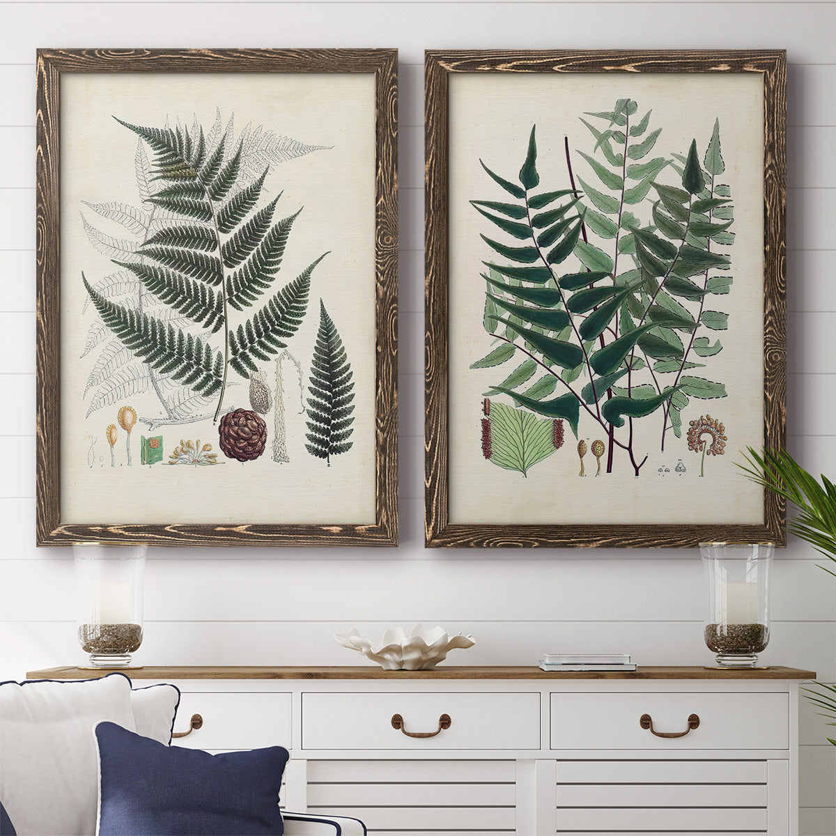 Set of two walnut barnwood framed canvas prints depicting a coordinated art pair of vintage fern specimens with botanical details rendered as natural-history fern plates above a dining room sideboard.