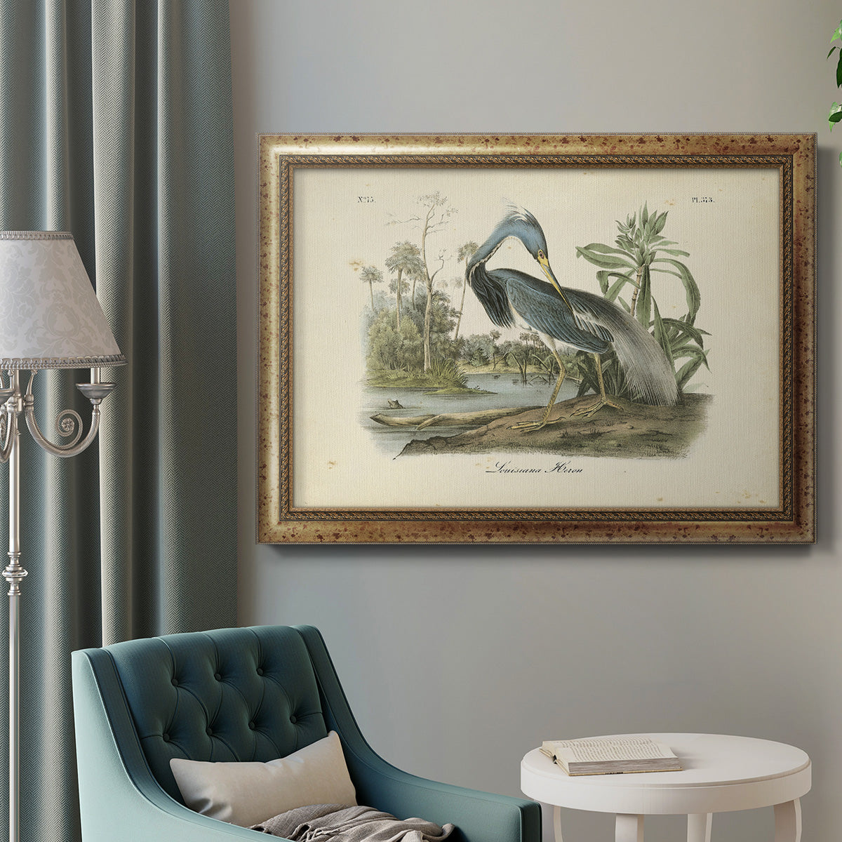 Audubons Louisiana Heron Premium Framed Canvas- Ready to Hang